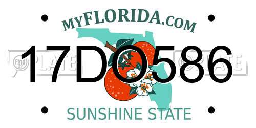 17DO586 Florida License Plate