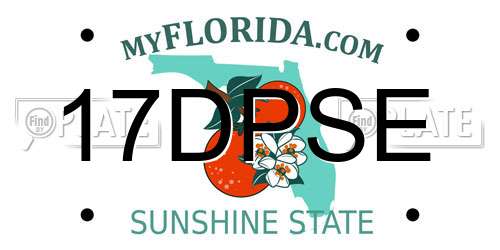 17DPSE Florida License Plate
