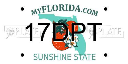 17DPT Florida License Plate