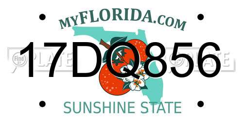 17DQ856 Florida License Plate