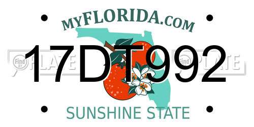 17DT992 Florida License Plate