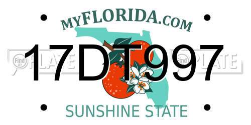 17DT997 Florida License Plate