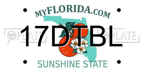 17DTBL Florida License Plate
