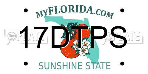 17DTPS Florida License Plate