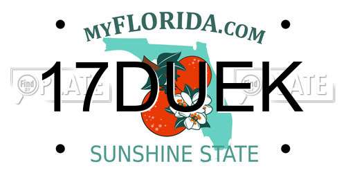 17DUEK Florida License Plate