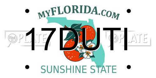 17DUTI Florida License Plate