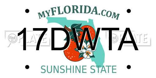 17DWTA Florida License Plate