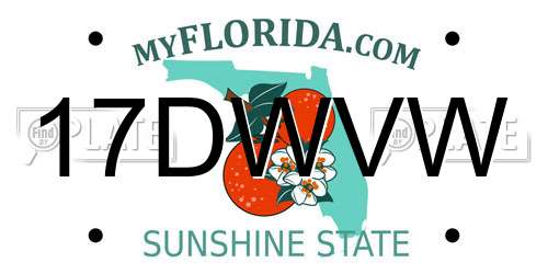 17DWVW Florida License Plate