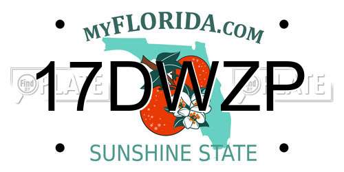 17DWZP Florida License Plate