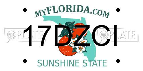 17DZCI Florida License Plate