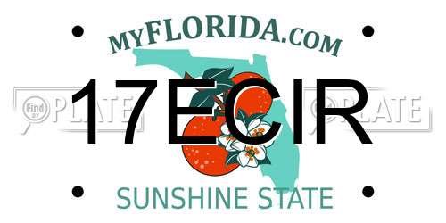 17ECIR Florida License Plate