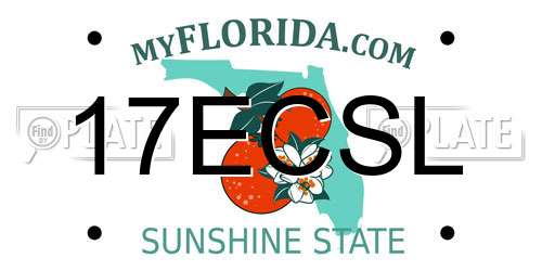 17ECSL Florida License Plate