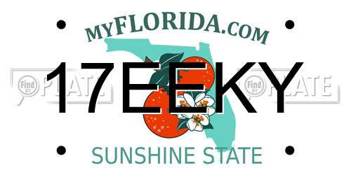 17EEKY Florida License Plate