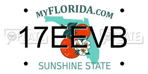 17EEVB Florida License Plate