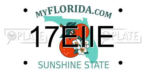 17EIIE Florida License Plate