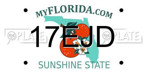 17EJD Florida License Plate