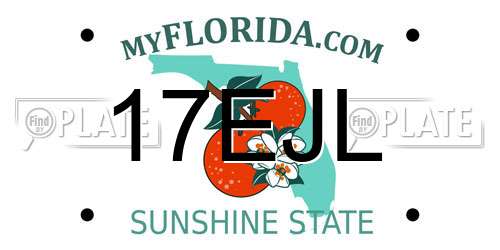 17EJL Florida License Plate