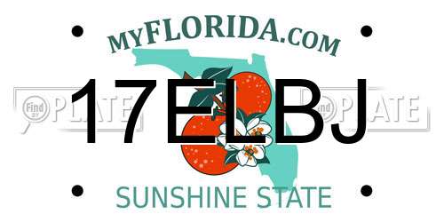 17ELBJ Florida License Plate