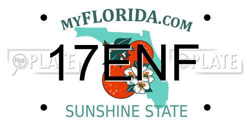 17ENF Florida License Plate