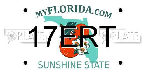 17ERT Florida License Plate