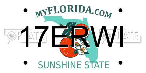 17ERWI Florida License Plate