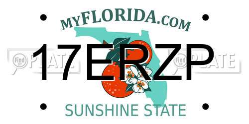 17ERZP Florida License Plate