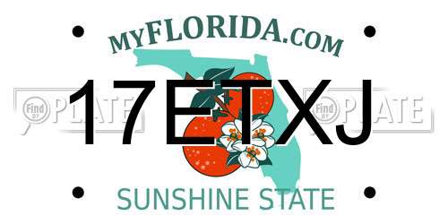 17ETXJ Florida License Plate