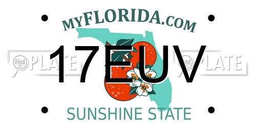 17EUV Florida License Plate