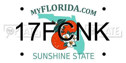 17FCNK Florida License Plate
