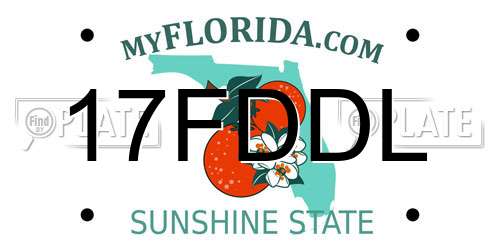 17FDDL Florida License Plate