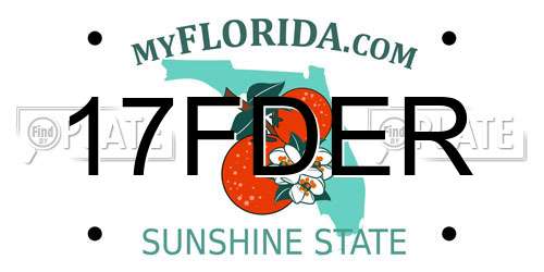 17FDER Florida License Plate