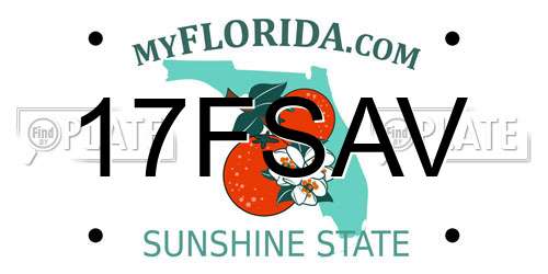 17FSAV Florida License Plate