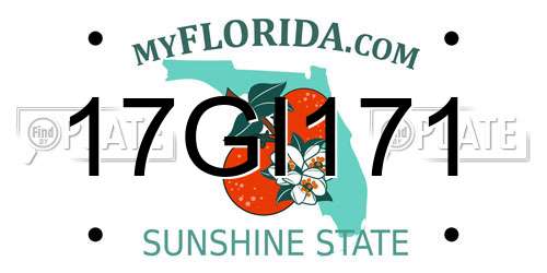 17GI171 Florida License Plate