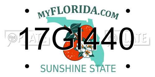 17GI440 Florida License Plate