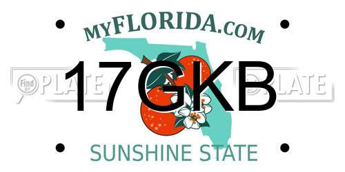 17GKB Florida License Plate