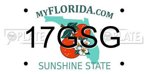 17GSG Florida License Plate