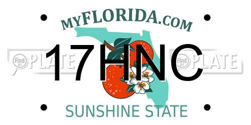 17HNC Florida License Plate