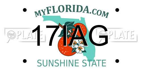 17IAG Florida License Plate