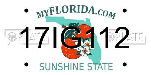 17IG112 Florida License Plate