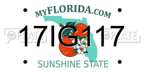 17IG117 Florida License Plate
