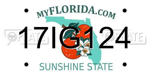 17IG124 Florida License Plate