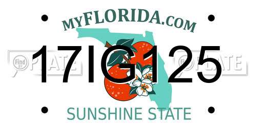 17IG125 Florida License Plate