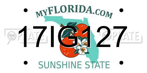 17IG127 Florida License Plate