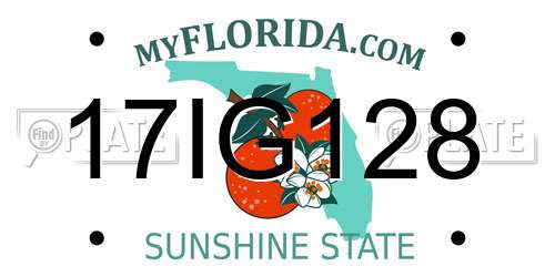 17IG128 Florida License Plate