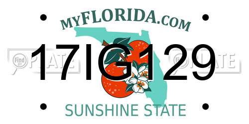 17IG129 Florida License Plate