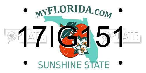 17IG151 Florida License Plate
