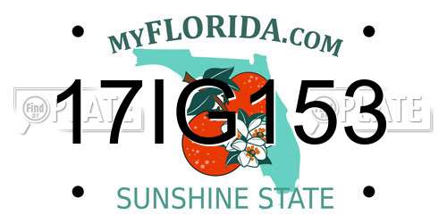 17IG153 Florida License Plate