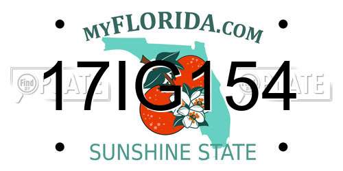 17IG154 Florida License Plate