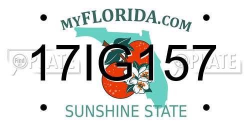 17IG157 Florida License Plate