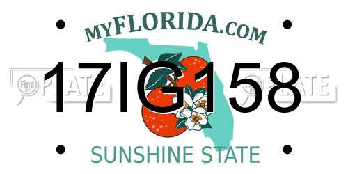 17IG158 Florida License Plate